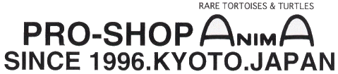 ホームページ大幅リニューアル中